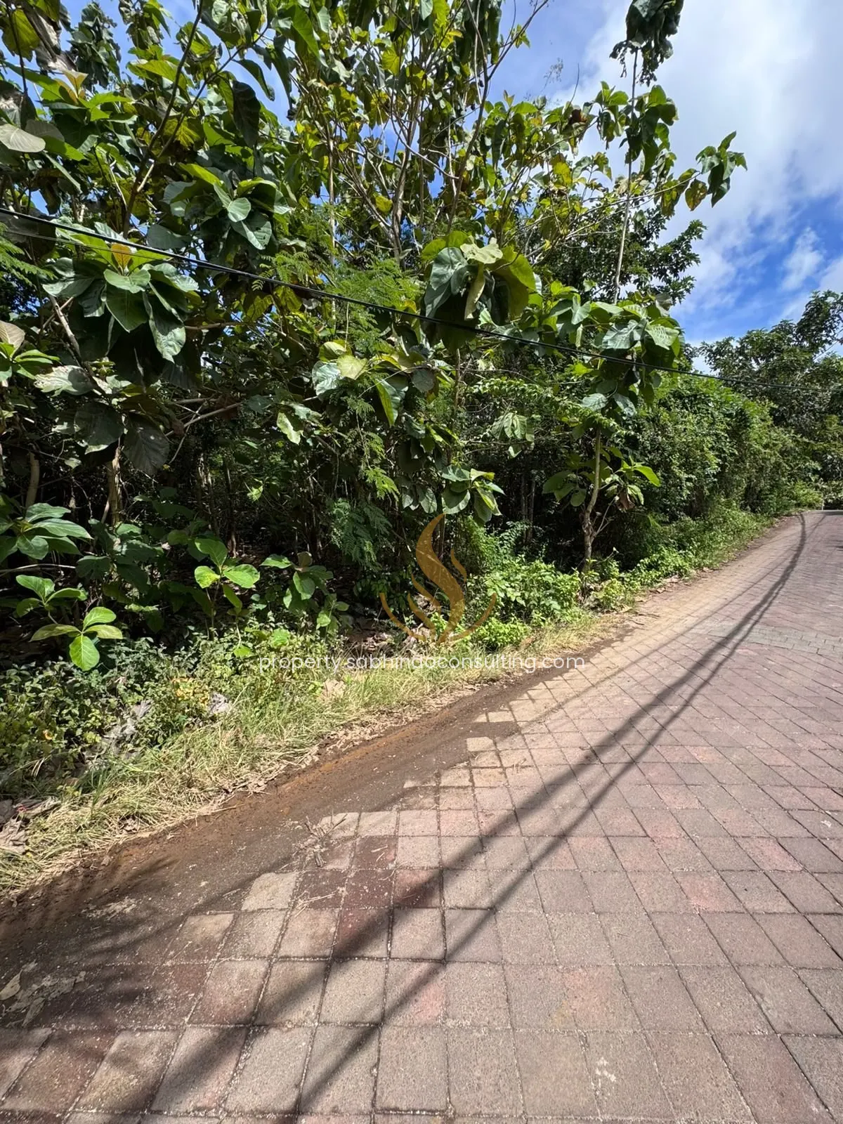 Hook Land on the Ungasan–Pecatu Border — 42 Are 2